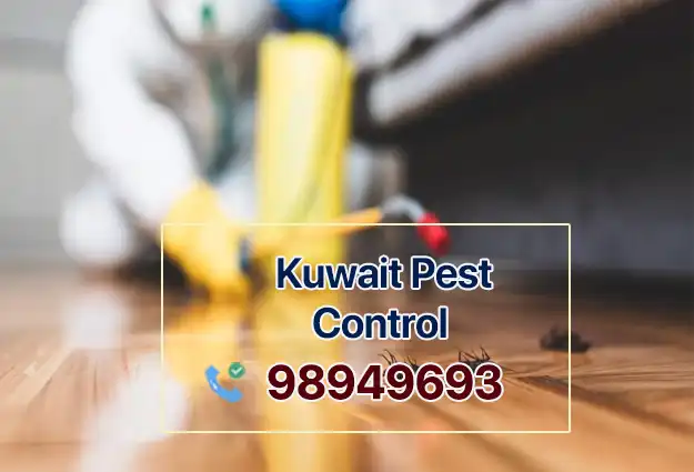 pest cotrol