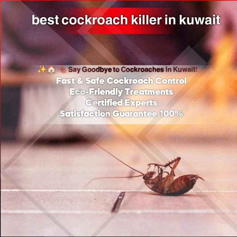 best cockroach killer in kuwait