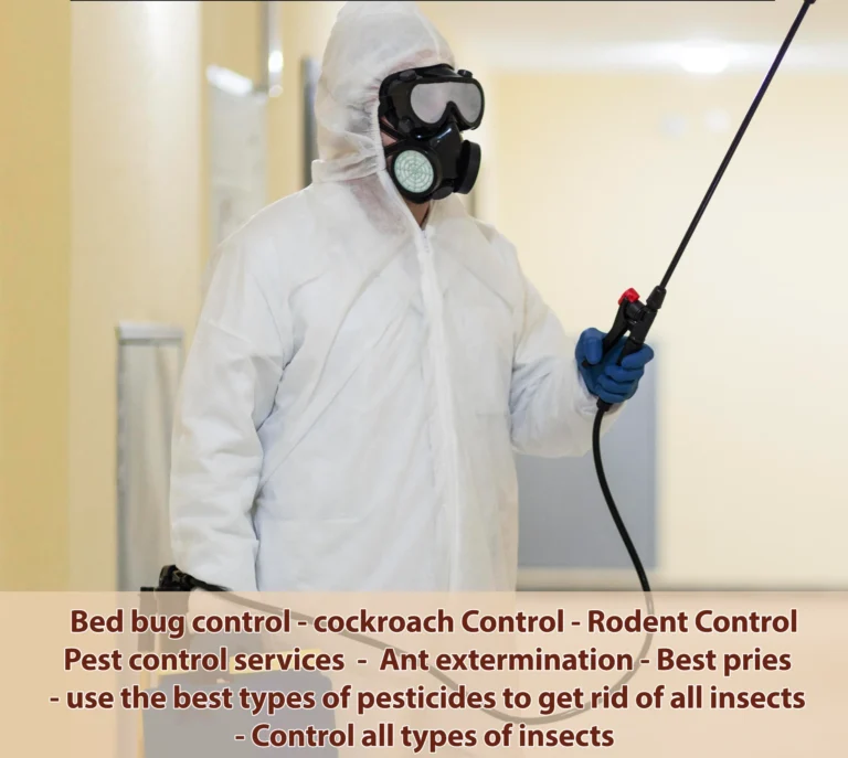 Rodent control in Kuwait