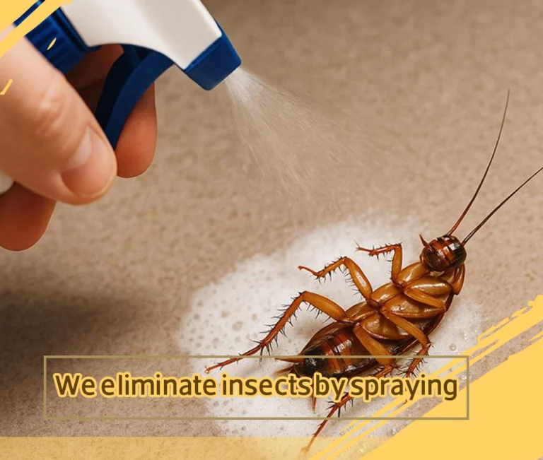 Pest control company in Kuwait