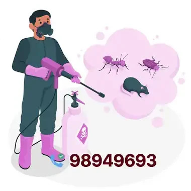 Kuwait Pest Control