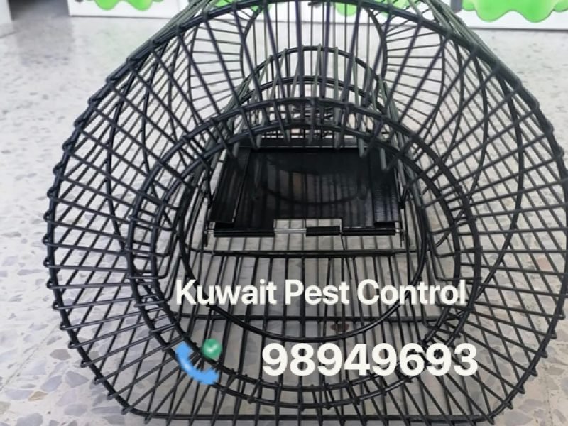 Kuwait Pest Control